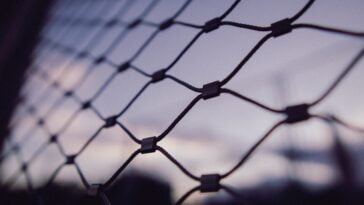 Stolen identities of prison inmates