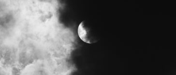 Advanced CAMS — Audit