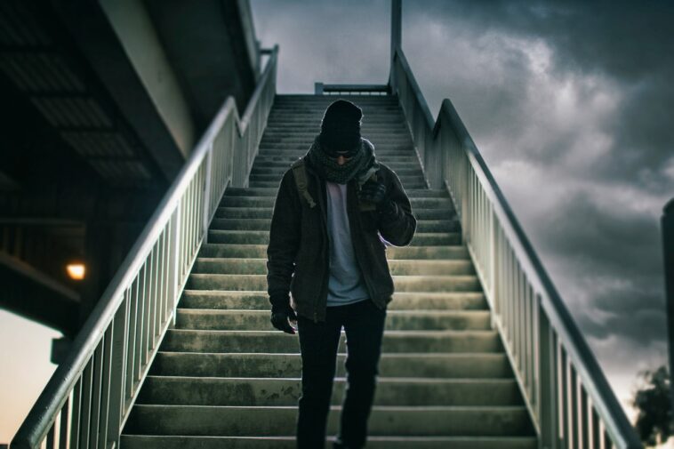 Citizen Fraudster
