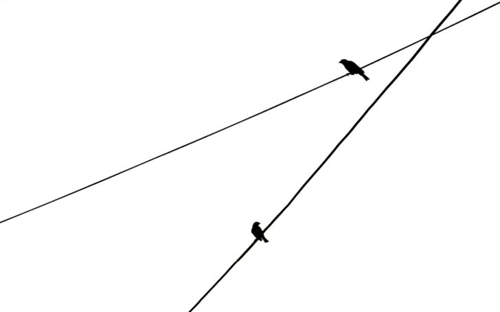 Second Line of Defense - FinCrime Intelligence