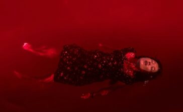 Authorized Push Payment Fraud or Customer Abuse