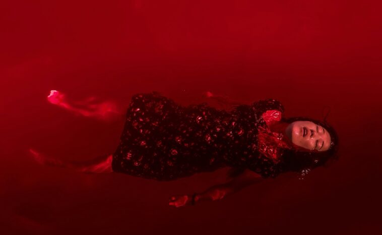 Authorized Push Payment Fraud or Customer Abuse